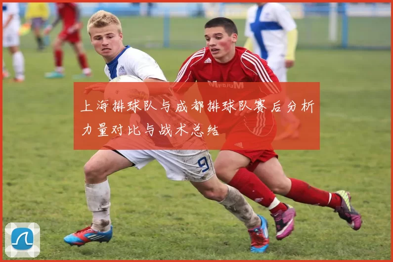 上海排球队与成都排球队赛后分析力量对比与战术总结
