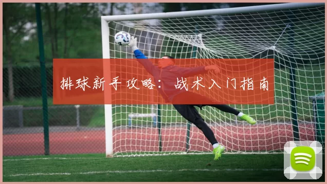 排球新手攻略：战术入门指南