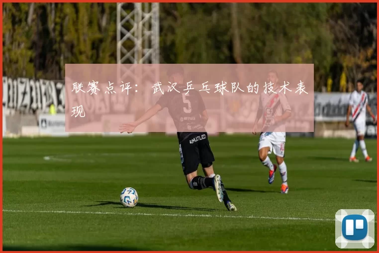 联赛点评：武汉乒乓球队的技术表现