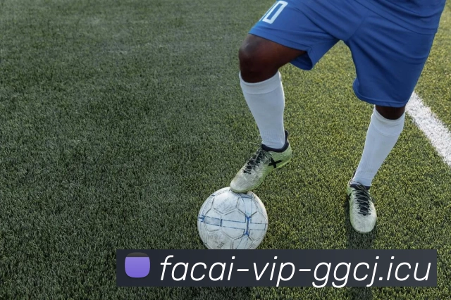 爱游戏体育平台生态图